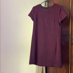 business casual shift dress